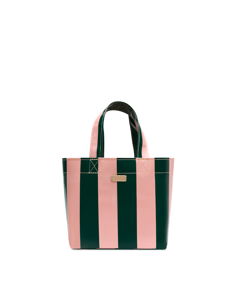 Consuela Grab 'n' Go Mini Fern