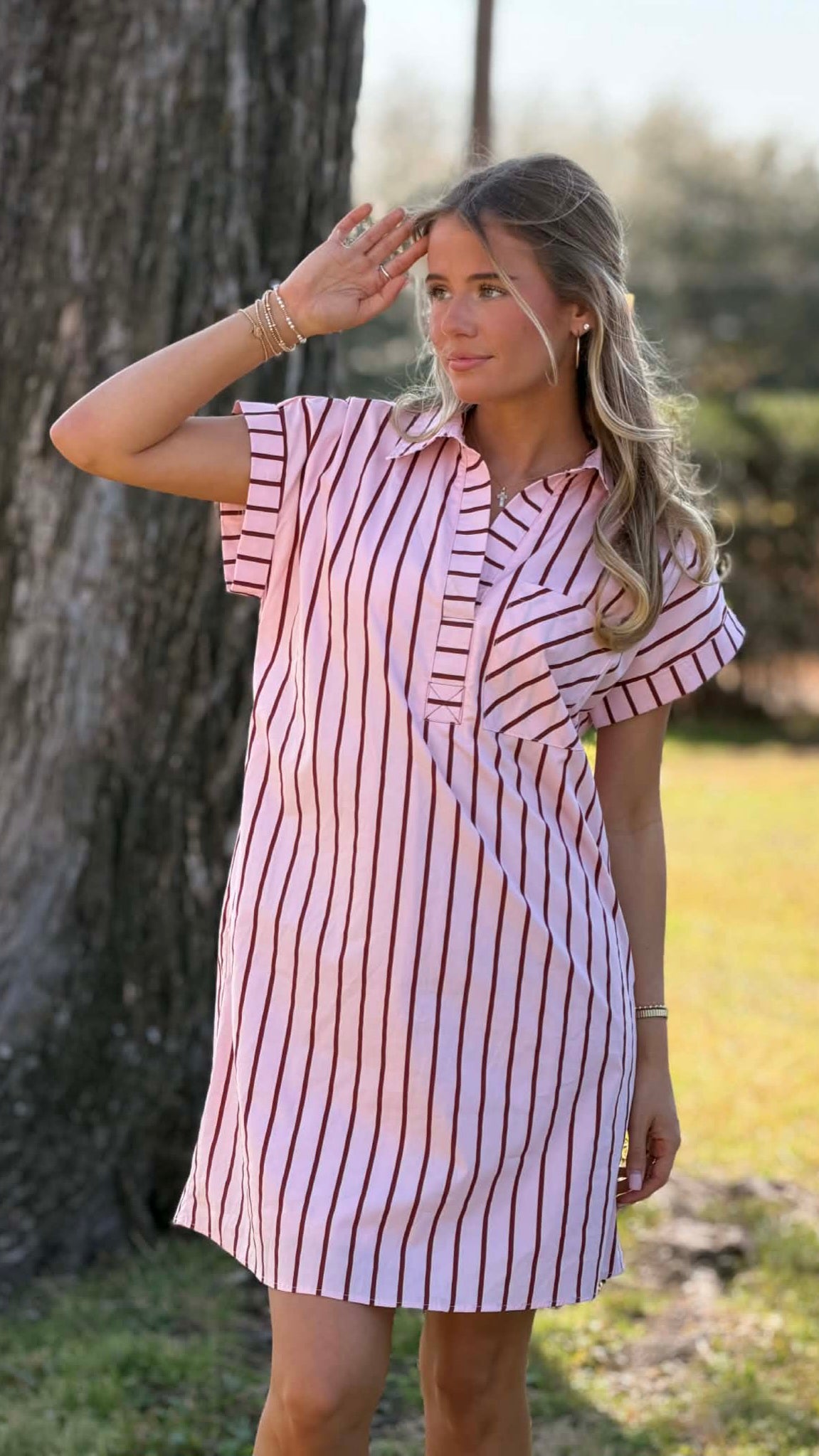Rosé Stripe Collared Shift Mini Dress